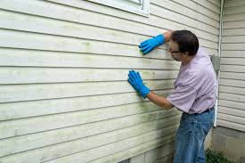 Best Vinyl Siding Installation  in North Falmouth, MA